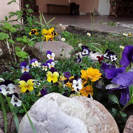 Sweet Dreams Home Trikala  Ngoại thất bức ảnh