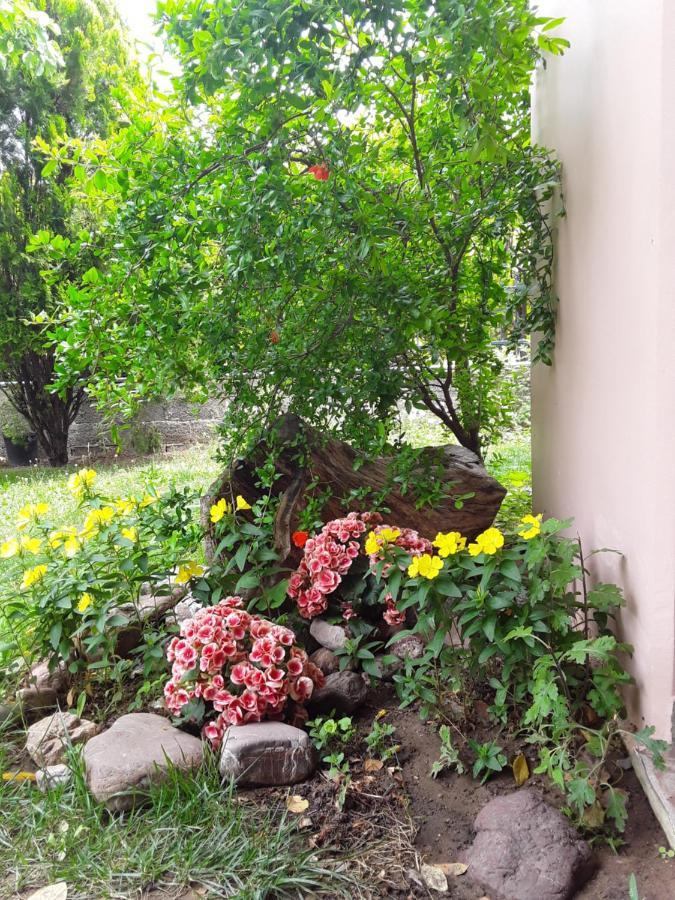 Sweet Dreams Home Trikala  Ngoại thất bức ảnh