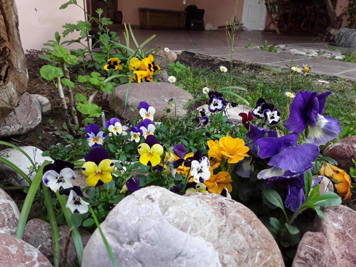 Sweet Dreams Home Trikala  Ngoại thất bức ảnh